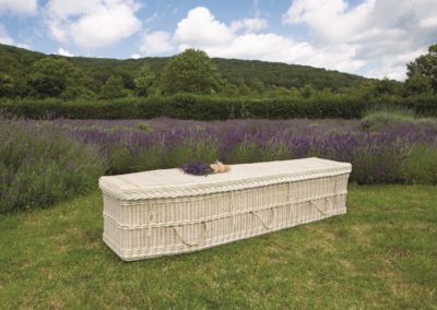 Cane Coffin