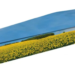 Sunflower Field Picture Coffin