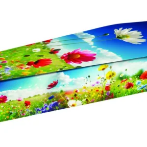 Meadow Field Picture Coffin