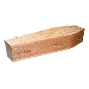 Wooden Albany coffin